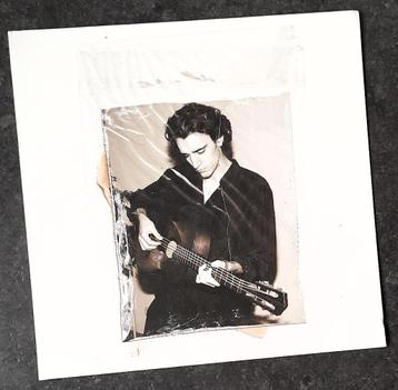 TAMINO	Sahar LP Angèle Sunflower beschikbaar voor biedingen