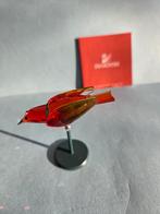 Oiseau SWAROVSKI BANU HYACINTH, Collections, Swarovski, Enlèvement, Figurine