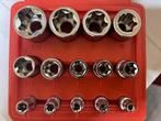 14 Delige Inwendige Torx Doppenset, Ophalen of Verzenden, Nieuw