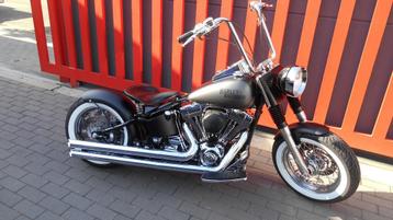 Harley davidson, Particulier