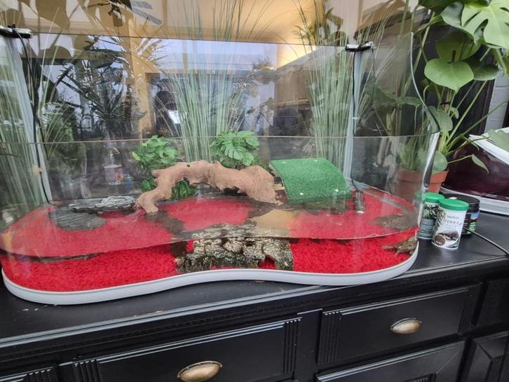 Vissenbak met vissen en schildpadden, Dieren en Toebehoren, Vissen | Aquaria en Toebehoren, Ophalen