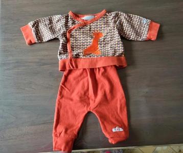 little theo beschikbaar voor biedingen