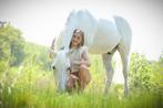 Leermeester kinderpony, Dieren en Toebehoren, B