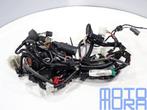 Kabelboom voor de Kawasaki ZX-9R 2000 - 2003 ZX-9R ZX9-R ZX9, Motoren, Ophalen of Verzenden, Gebruikt