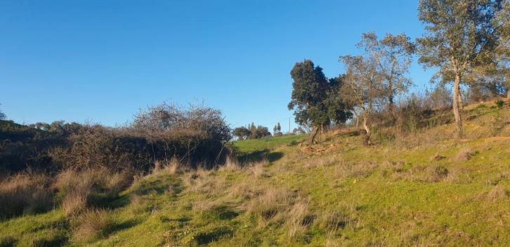 Z-Portugal te renoveren landhuis  6 ha rustige groene natuur, Immo, Buitenland, Portugal, Woonhuis, Landelijk