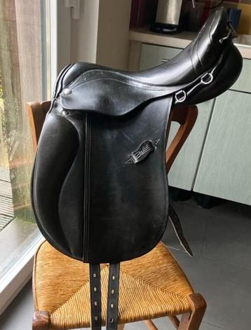 Zaldi Amadeus Dressage 17 beschikbaar voor biedingen