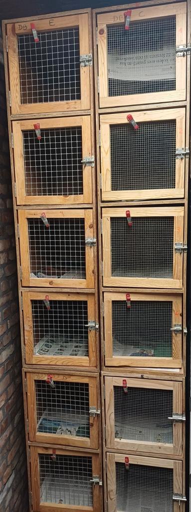 Hokken Vogelhokken Kweekhokken Duivenhokken, Dieren en Toebehoren, Vogels | Hokken en Kooien, Zo goed als nieuw, Ophalen