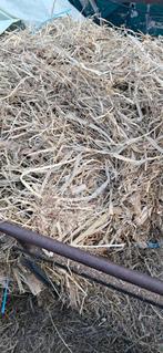 Paardenmest, Dieren en Toebehoren