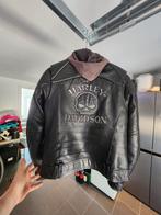 Veste en cuir Harley Davidsons pour femme M, Particulier