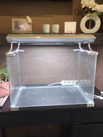 Aquarium, Dieren en Toebehoren, Vissen | Aquaria en Toebehoren, Ophalen