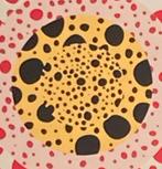 Yayoi Kusama: lithografie 40 bij 50 cm. Ingelijst verkocht, Ophalen of Verzenden