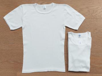 3 chemises blanches HL Tricot Molentje 164/176 - parfait éta