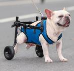 Chariot pour chien handicapé, Animaux & Accessoires, Enlèvement ou Envoi