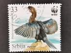 Serbie 2011 - oiseaux - cormoran pygmée, Timbres & Monnaies, Timbres | Europe | Autre, Affranchi, Enlèvement ou Envoi, Servië