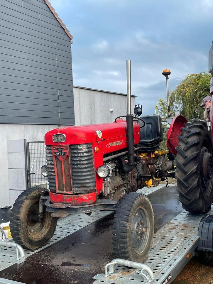 Massey Ferguson 65, Articles professionnels, Agriculture | Tracteurs, Massey Ferguson, Enlèvement