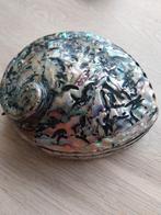 Juwelendoos uit schelp, Enlèvement ou Envoi