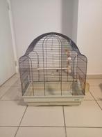 Vogelkooi op metalen staander imac, Ophalen, Gebruikt, Metaal, Vogelkooi