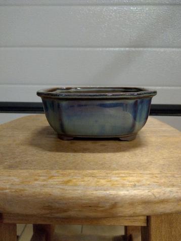 Bonsai pot  beschikbaar voor biedingen