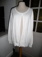 Grote maten, witte cardigan dames, xl., Ophalen of Verzenden