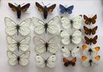 Vlinders uit Frankrijk, 3€/specimen, Comme neuf, Enlèvement ou Envoi