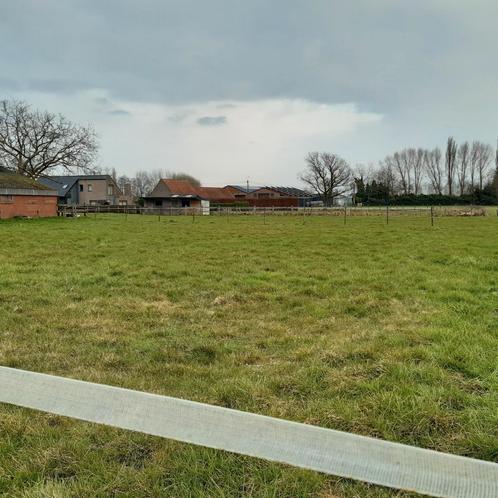 Weide te huur in Meigem /Deinze met schuilstal., Dieren en Toebehoren, Stalling en Weidegang, Stalling, Weidegang, 2 of 3 paarden of pony's
