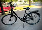 Damesfiets Raleigh Devon HS-28” 8 speed(RIJKLAAR), Fietsen en Brommers, Fietsen | Dames | Damesfietsen, 50 tot 53 cm, Ophalen