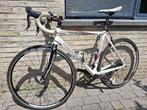 Koersfiets Ridley Compact framemaat 52, Fietsen en Brommers, 28 inch, Gebruikt, Heren, Aluminium