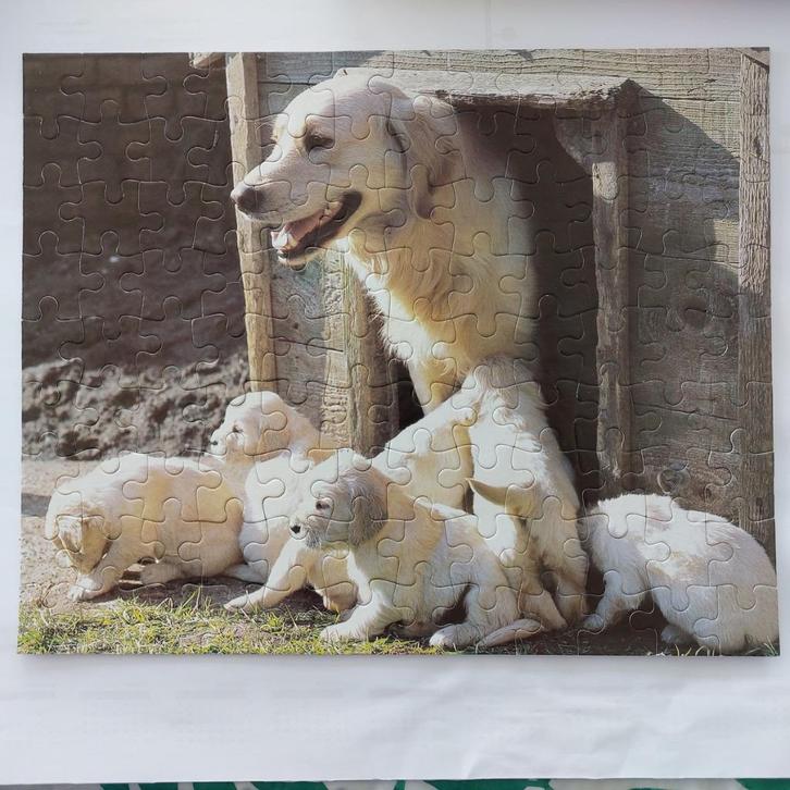 MB puzzel 100 stukken (hond met puppies), Enfants & Bébés, Jouets | Puzzles pour enfants, Utilisé, 4 à 6 ans, Plus de 50 pièces