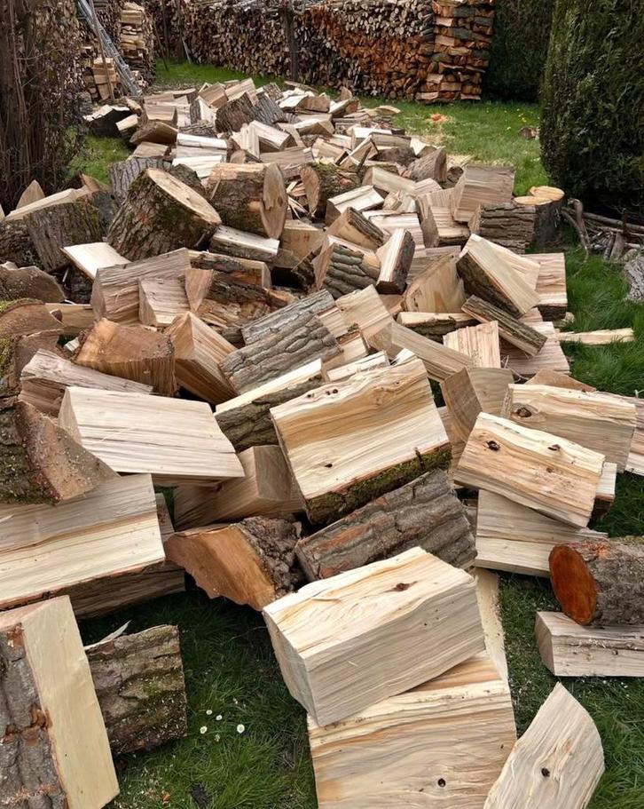 Bois de chauffage, Jardin & Terrasse, Bois de chauffage, Bûches, Hêtre, 6 m³ ou plus, Enlèvement