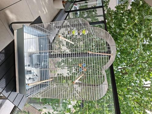 Vogelkooi, Dieren en Toebehoren, Vogels | Hokken en Kooien, Nieuw, Vogelkooi, Aluminium, Ophalen