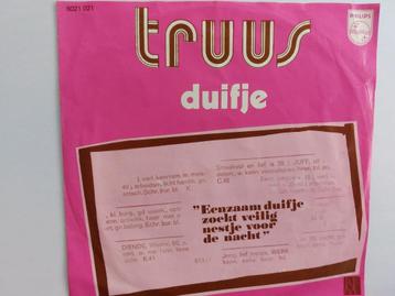 Truus - Duifje beschikbaar voor biedingen