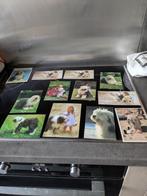 Kaarten bobtail, Enlèvement ou Envoi, Non affranchie