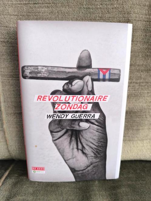Revolutionaire zondag.     (Wendy Guerra), Boeken, Literatuur, Zo goed als nieuw, Wereld overig, Ophalen