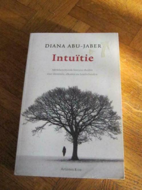 Diana Abu-Jaber: Intuïtie, Livres, Romans, Utilisé, Enlèvement ou Envoi