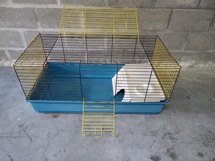 kooi voor kleine knaagdieren, Dieren en Toebehoren, Knaagdieren en Konijnen | Hokken en Kooien, Gebruikt, Kooi, Minder dan 60 cm