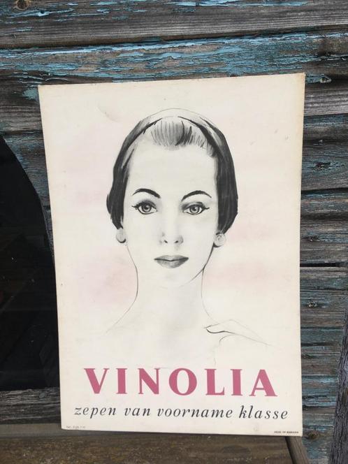 Midcentury reclame bord karton Vinolia, Antiek en Kunst, Curiosa en Brocante, Ophalen of Verzenden