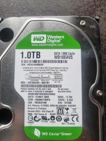 3.5inch - WD - 1 Tb - 8mb - WD10EAVS-00D7B1 beschikbaar voor biedingen