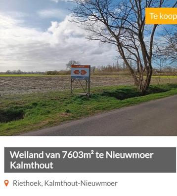 7603m2 landbouwgrond Kalmthout Nieuwmoer beschikbaar voor biedingen