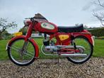 Royal Nord GT 4 versnellingen 1967 te koop aangeboden!, Vélos & Vélomoteurs, Cyclomoteurs | Oldtimers & Ancêtres, 4 vitesses, Autres marques