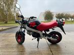 Honda ZB50, Fietsen en Brommers, Ophalen, Gebruikt, Klasse B (45 km/u), 50 cc