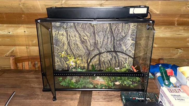 Terrarium, Animaux & Accessoires, Reptiles & Amphibiens | Accessoires, Utilisé, Terrarium ou Paludarium, Enlèvement