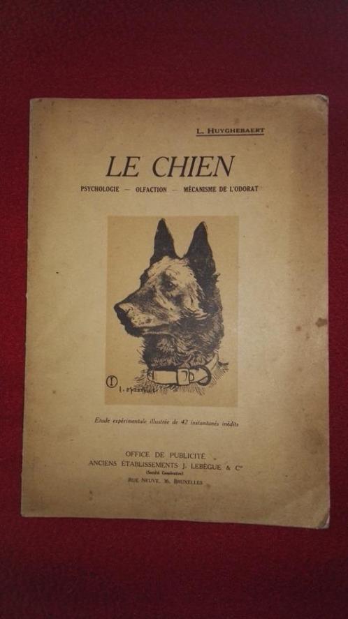 L. Huyghebaert - Le chien - vers 1935, Livres, Animaux & Animaux domestiques, Enlèvement ou Envoi