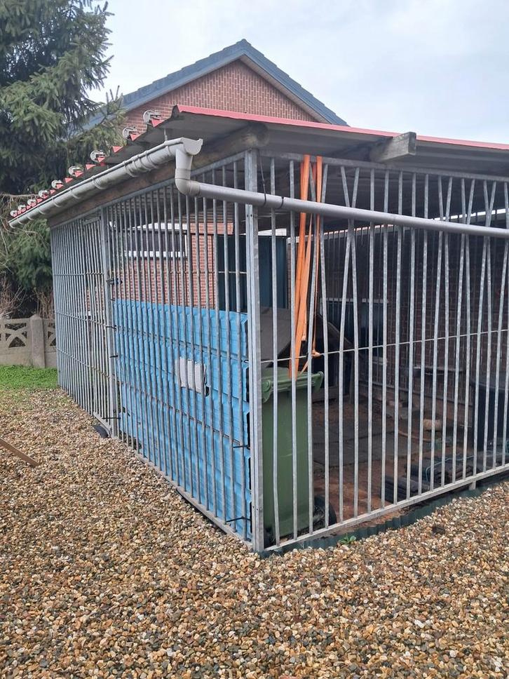 Hondenren, Dieren en Toebehoren, Hondenhokken, Ophalen