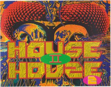 House II House 2 - Amnesia , Ottorongo ,Clubhouse (2XCD) beschikbaar voor biedingen