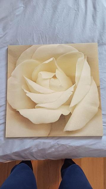 tableau de photo de fleur, Enlèvement