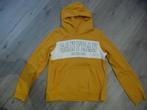 toffe gele sweater met kap H&M maat 170, Meisje, Trui of Vest, H&M, Ophalen of Verzenden