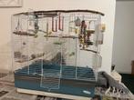 Vogelkooi, Dieren en Toebehoren, Ophalen, Gebruikt