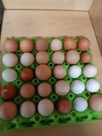 Verse eieren 0.25€/ ei
