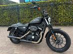 Harley davidson Iron 883, Motoren, 2 cilinders, Bedrijf, 883 cc, Meer dan 35 kW