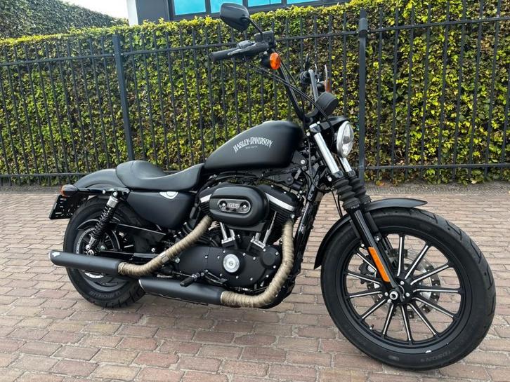 Harley davidson Iron 883, Motoren, Motoren | Harley-Davidson, Bedrijf, Chopper, meer dan 35 kW, 2 cilinders, Motorrijbewijs A